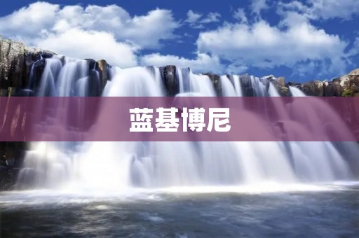 蓝基博尼：专业的建筑材料供应商