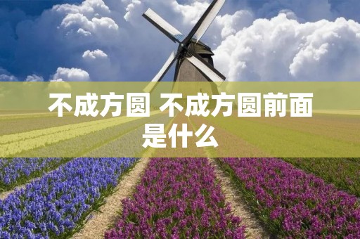 不成方圆 不成方圆前面是什么
