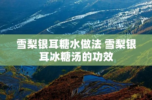 雪梨银耳糖水做法 雪梨银耳冰糖汤的功效