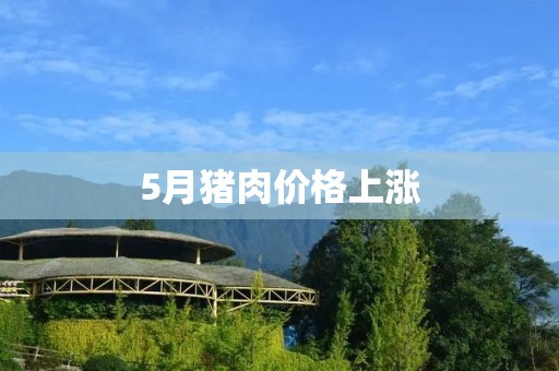 5月猪肉价格上涨：背后的原因与对策