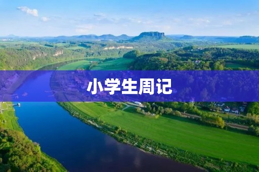 小学生周记：我丰富多彩的暑假生活