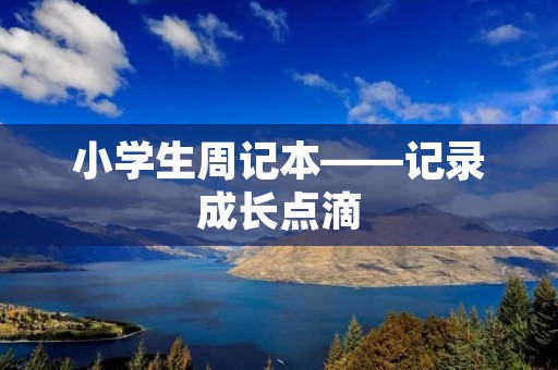 小学生周记本——记录成长点滴 小学生周记本——记录成长点滴