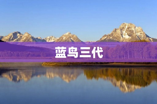 蓝鸟三代:革新设计,引领未来校车安全 蓝鸟三代:革新设计,引领未来校车安全