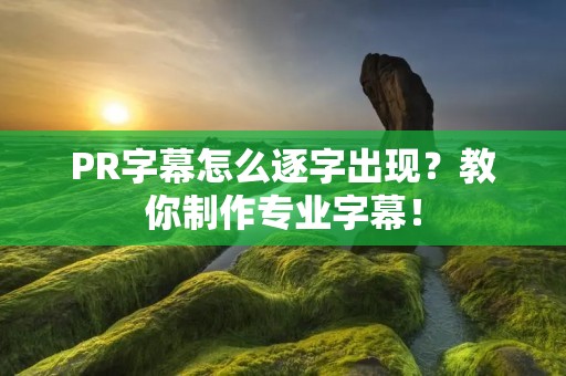 PR字幕怎么逐字出现?教你制作专业字幕! PR字幕怎么逐字出现?教你制作专业字幕!