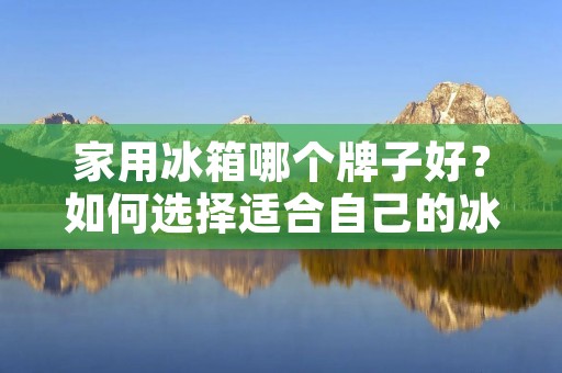家用冰箱哪个牌子好？如何选择适合自己的冰箱？