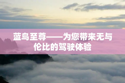 蓝鸟至尊——为您带来无与伦比的驾驶体验 蓝鸟至尊——为您带来无与伦比的驾驶体验