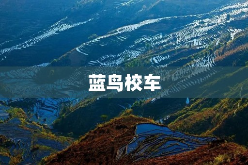 蓝鸟校车：安全、可靠的校园出行选择