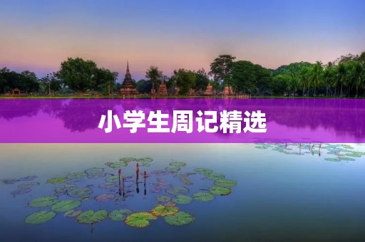 小学生周记精选:一次难忘的户外活动 小学生周记精选:一次难忘的户外活动