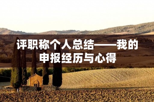 评职称个人总结——我的申报经历与心得