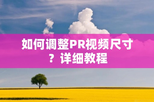如何调整PR视频尺寸？详细教程
