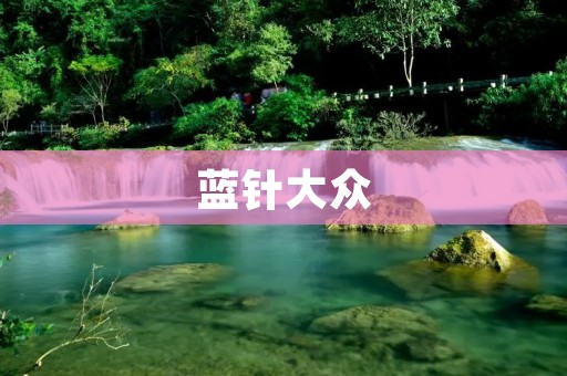 蓝针大众:用创新技术和可持续发展引领汽车行业 蓝针大众:用创新技术和可持续发展引领汽车行业