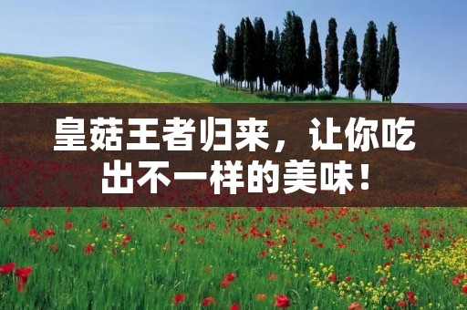 皇菇王者归来,让你吃出不一样的美味! 皇菇王者归来,让你吃出不一样的美味!