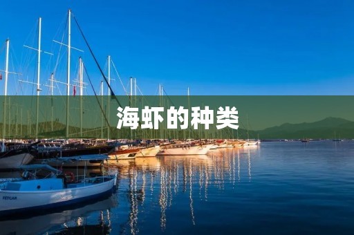 海虾的种类:从深海到浅海,多样性丰富 海虾的种类:从深海到浅海,多样性丰富