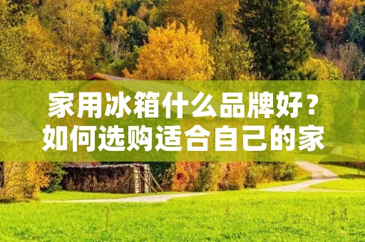 家用冰箱什么品牌好？如何选购适合自己的家用冰箱？