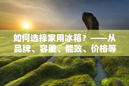 如何选择家用冰箱？——从品牌、容量、能效、价格等方面考虑