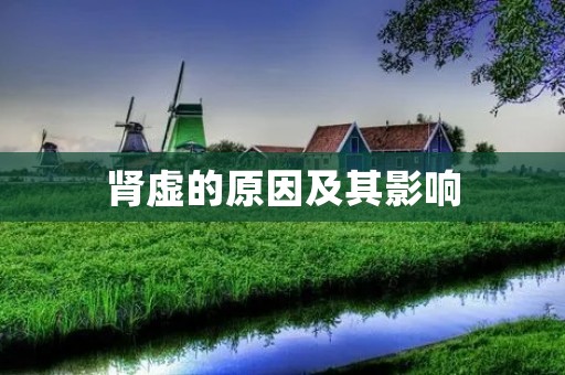 肾虚的原因及其影响 肾虚的原因及其影响