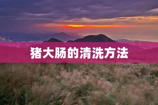 猪大肠的清洗方法:如何让猪大肠洗得干净 猪大肠的清洗方法:如何让猪大肠洗得干净