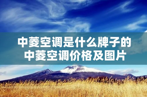 中菱空调是什么牌子的 中菱空调价格及图片