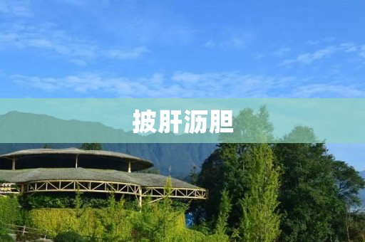 披肝沥胆:我为梦想付出的一切