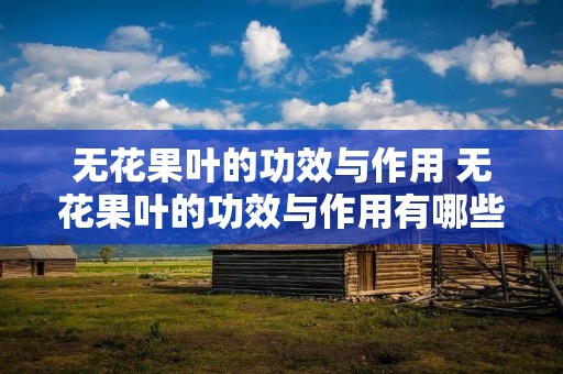 无花果叶的功效与作用 无花果叶的功效与作用有哪些