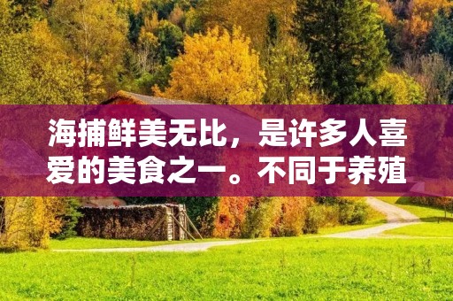海捕鲜美无比，是许多人喜爱的美食之一。不同于养殖鱼类，海捕鱼类更加天然、新鲜、营养丰富。然而，海捕的做法与养殖鱼类略有不同，需要一定的技巧和经验。下面就让我们来一起了解一下海捕的做法吧！