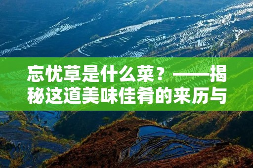 忘忧草是什么菜?——揭秘这道美味佳肴的来历与做法 忘忧草是什么菜?——揭秘这道美味佳肴的来历与做法