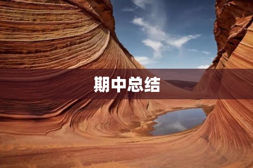 期中总结:回顾成长,展望未来
