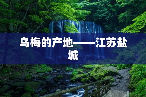 乌梅的产地——江苏盐城 乌梅的产地——江苏盐城