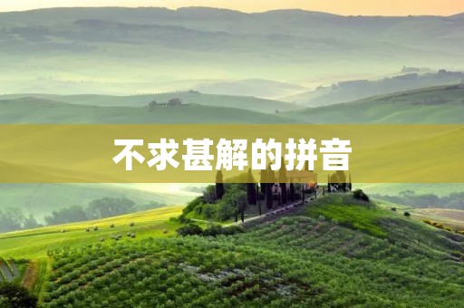 不求甚解的拼音:拼音输入法使用误区