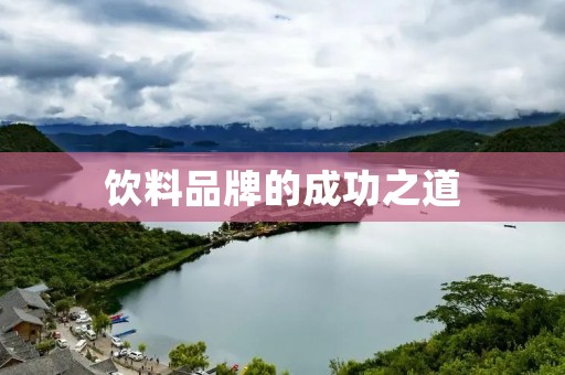 饮料品牌的成功之道 饮料品牌的成功之道