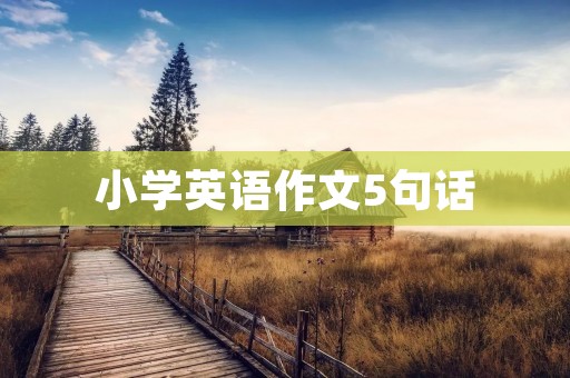 小学英语作文5句话