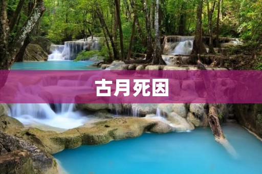 古月死因:一场悲剧的探究 古月死因:一场悲剧的探究