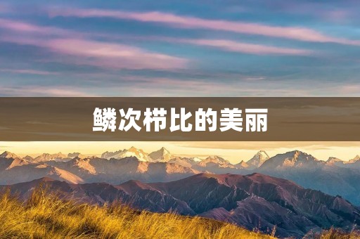鳞次栉比的美丽:探寻自然之中的规律