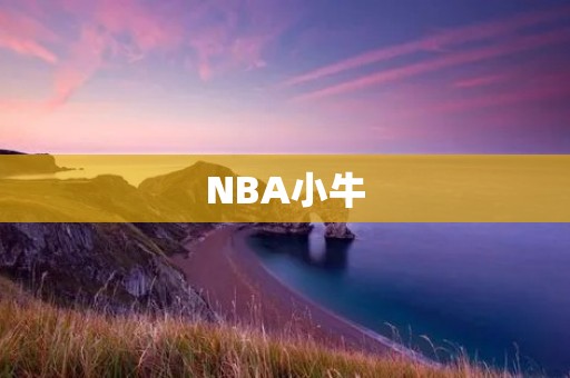 NBA小牛:新赛季的挑战与机遇 NBA小牛:新赛季的挑战与机遇