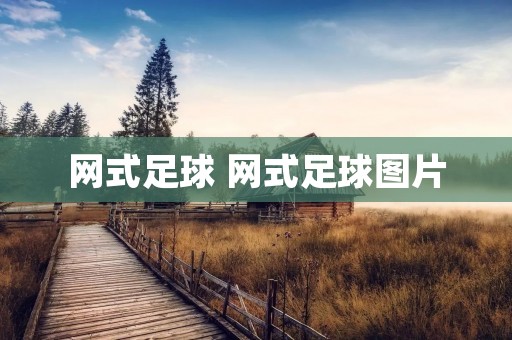 网式足球 网式足球图片 网式足球 网式足球图片
