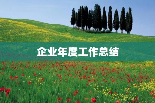 企业年度工作总结:以创新驱动,促进发展