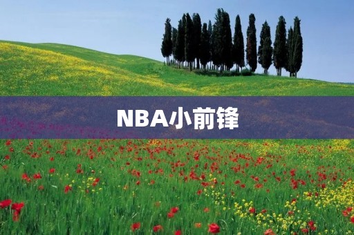 NBA小前锋:技术全面,身体素质出色 NBA小前锋:技术全面,身体素质出色