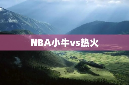 NBA小牛vs热火:双方互有胜算 NBA小牛vs热火:双方互有胜算
