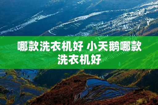 哪款洗衣机好 小天鹅哪款洗衣机好