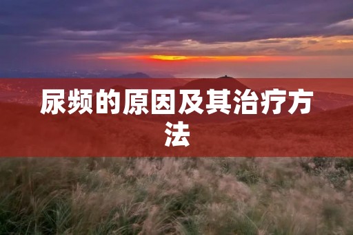 尿频的原因及其治疗方法