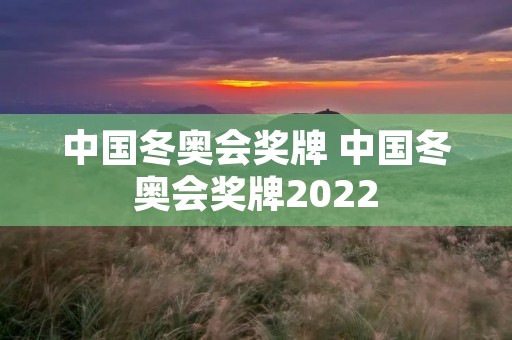 中国冬奥会奖牌 中国冬奥会奖牌2022 中国冬奥会奖牌 中国冬奥会奖牌2022