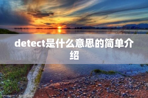 detect是什么意思的简单介绍