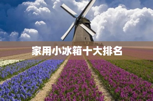 家用小冰箱十大排名:给你最佳的冷藏体验 家用小冰箱十大排名:给你最佳的冷藏体验