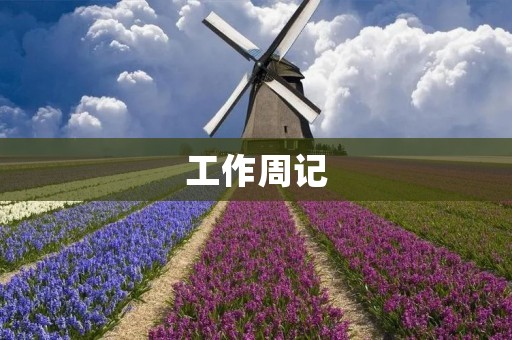 工作周记：努力拓展业务