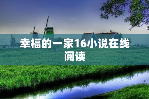 幸福的一家16小说在线阅读:一个家庭的温馨故事