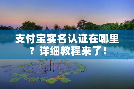 支付宝实名认证在哪里？详细教程来了！
