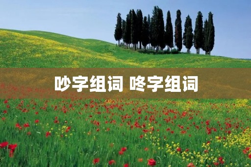 吵字组词 咚字组词