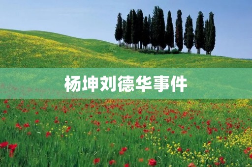 杨坤刘德华事件:一场因音乐版权引发的争议 杨坤刘德华事件:一场因音乐版权引发的争议