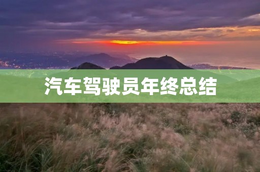 汽车驾驶员年终总结:安全驾驶,责任至上