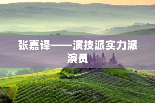 张嘉译——演技派实力派演员 张嘉译——演技派实力派演员